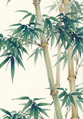 方砚书